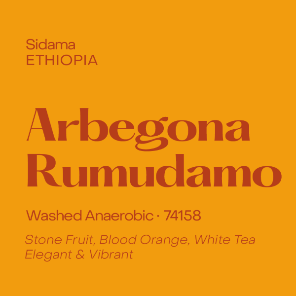 Subtext - Arbegona Rumudamo: Anaerobic Washed