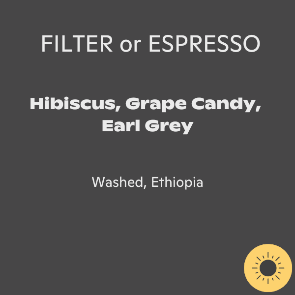 Cupping Room - Samii Banko Gotiti #7