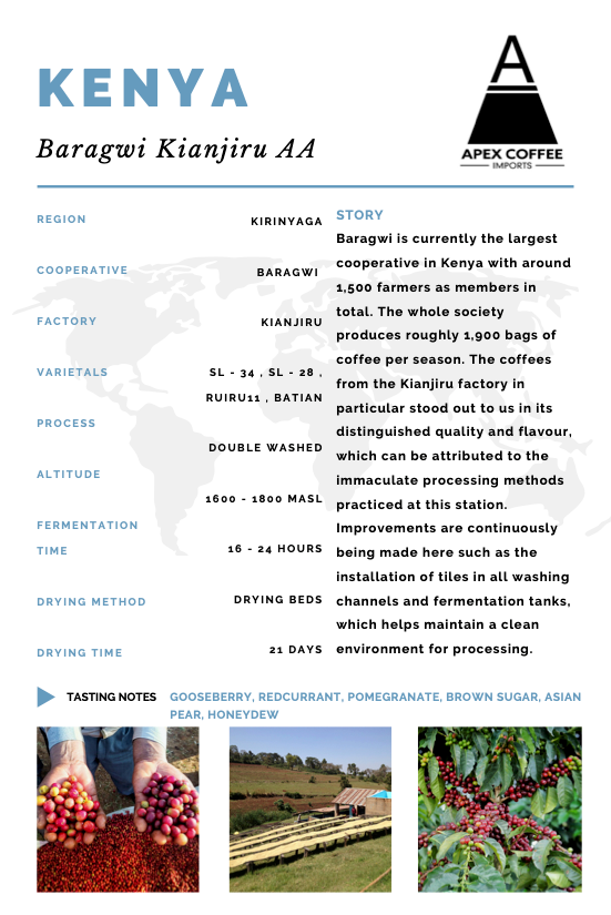 Green coffee - Baragwi Kianjiru AA: Double Washed, Kenya