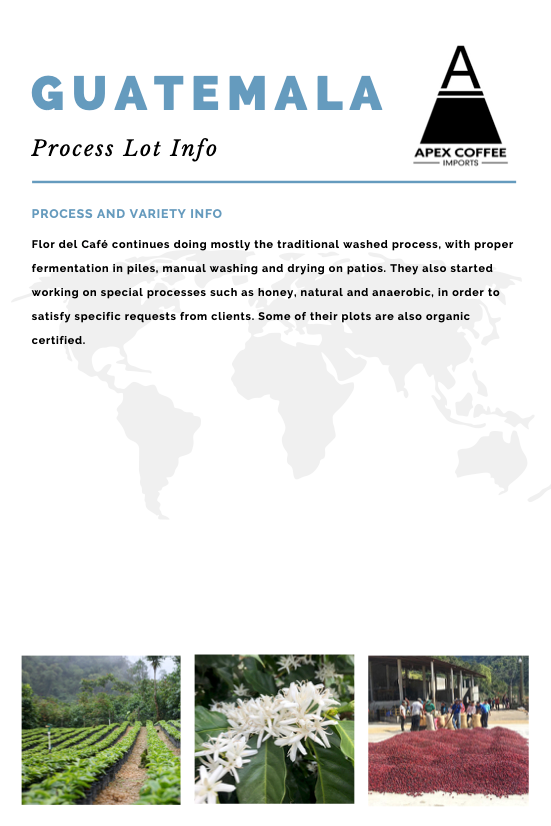 Green coffee - Finca Flor del Café: Washed, Guatemala