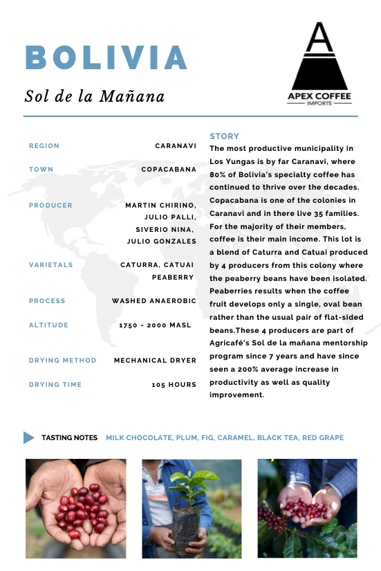 Green coffee  - Sol de la Mañana Peaberry, Bolivia