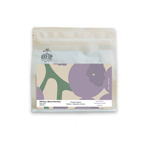 Rooftop - Werka Nensebo