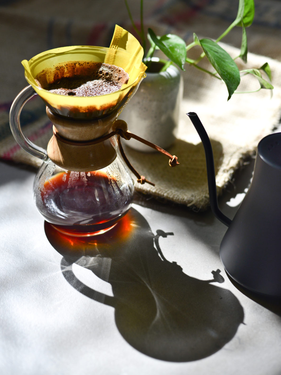 PRECISE BREW CHEMEX® 6-Cup Filters