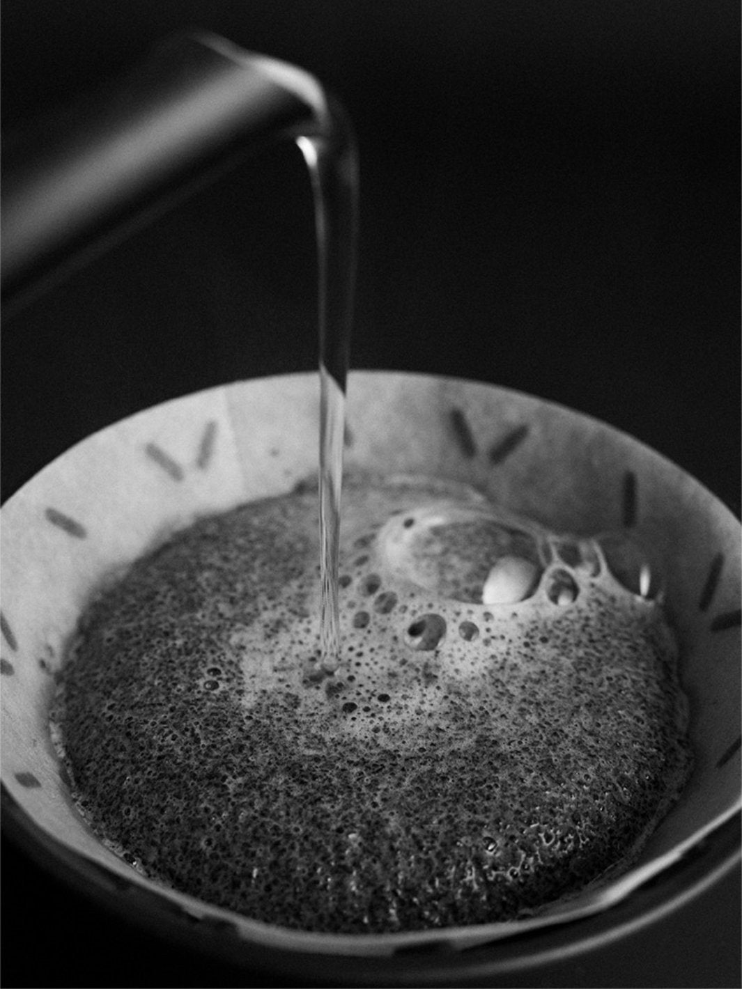 SIBARIST GRAYCANO Special Edition Coffee Filters