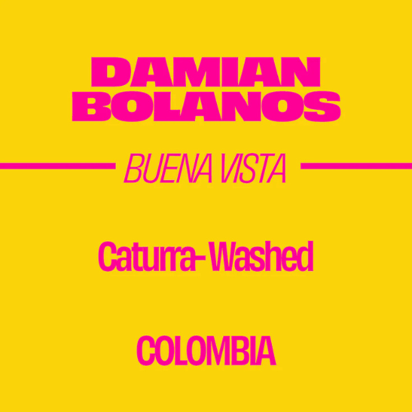 Sorellina - Damian Bolanos