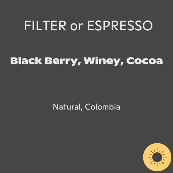 Cupping Room - El Diviso Castillo