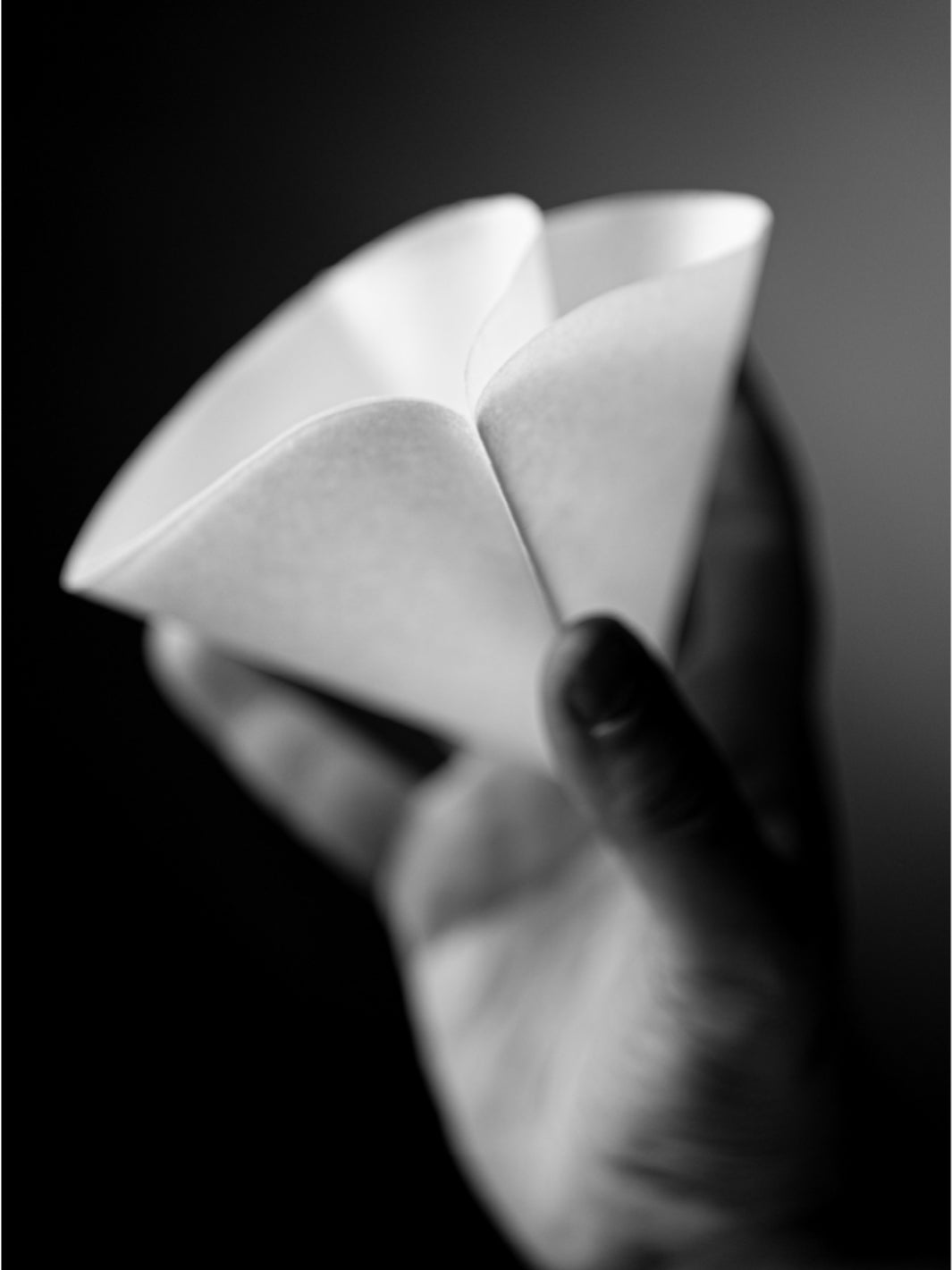 SIBARIST CONE DUAL CHAMBER Specialty Coffee Filters