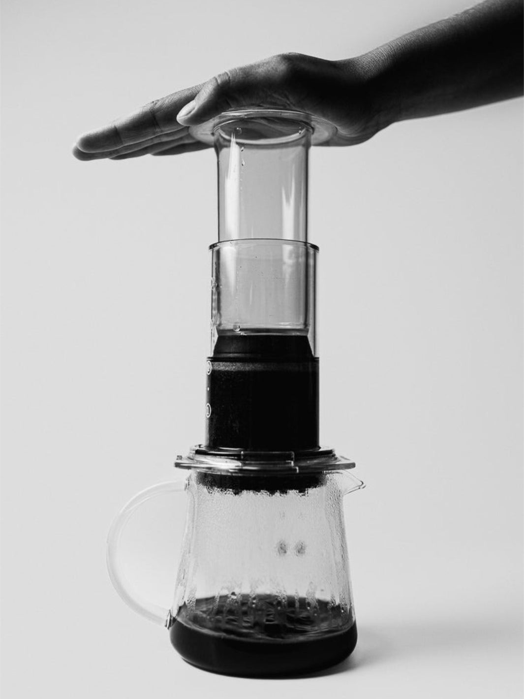 SIBARIST DISC 63 Specialty Coffee Filters