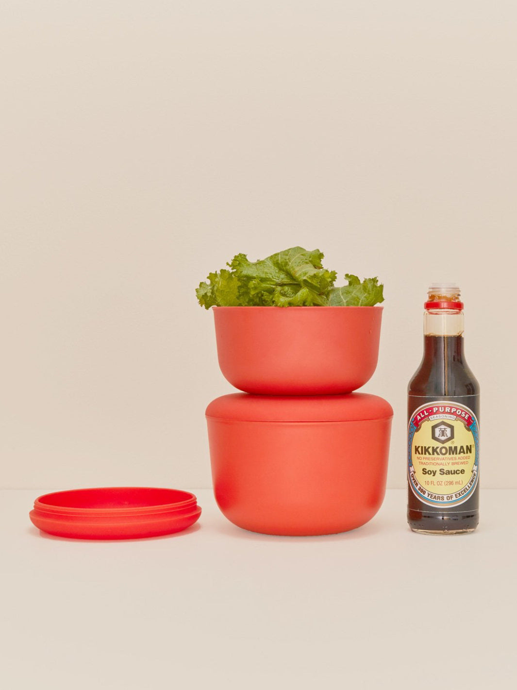 EKOBO Store & Go Container (1250ml/40oz)