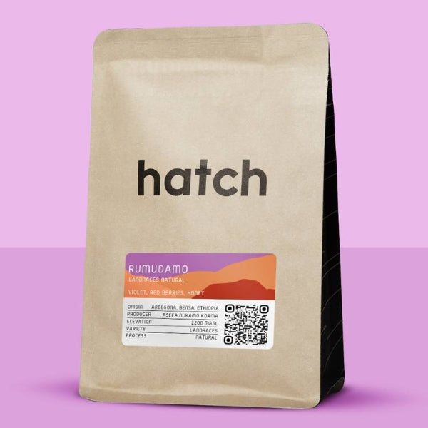 Hatch - Rumudamo