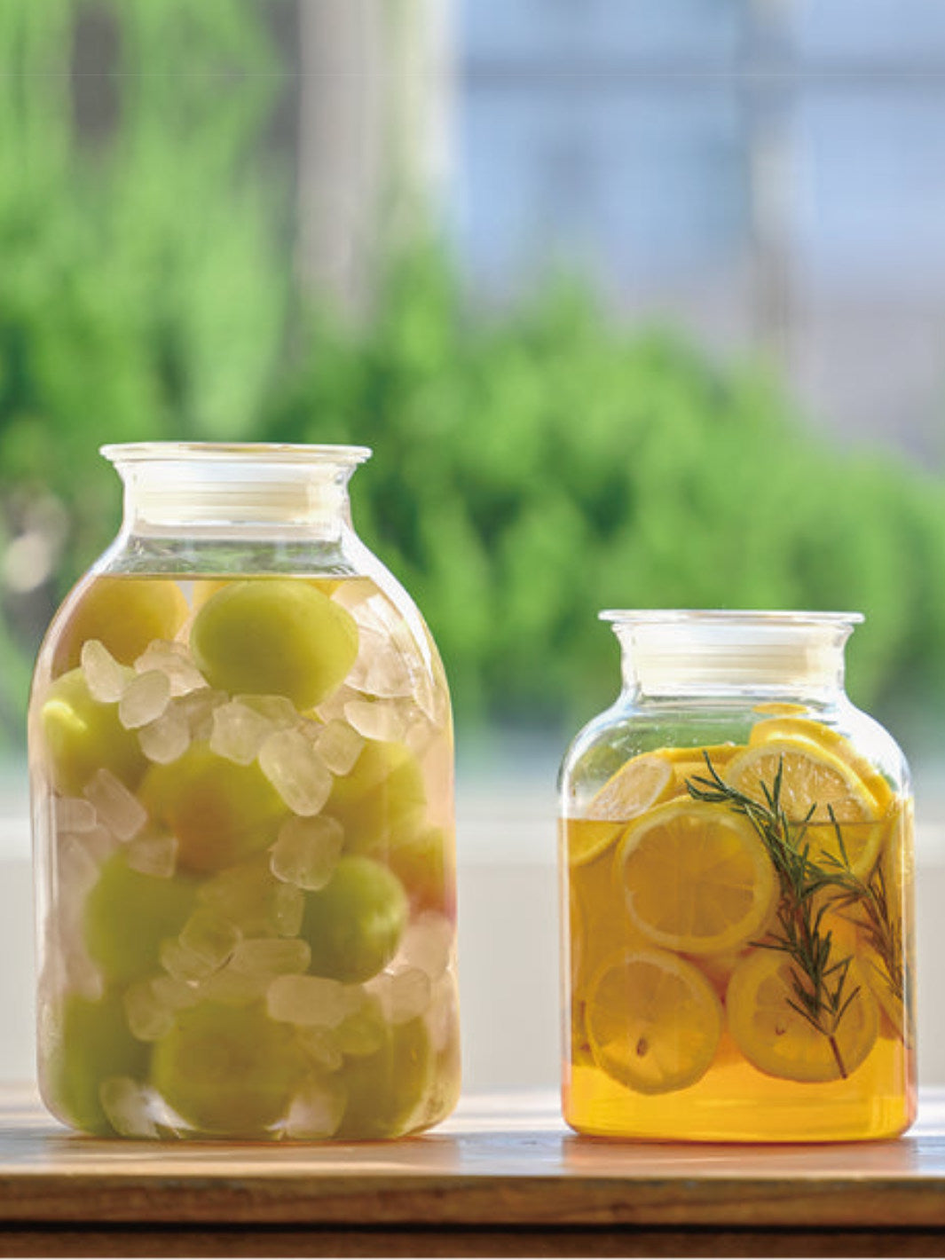 HARIO Glass Storage Jar (1000ml/34oz)