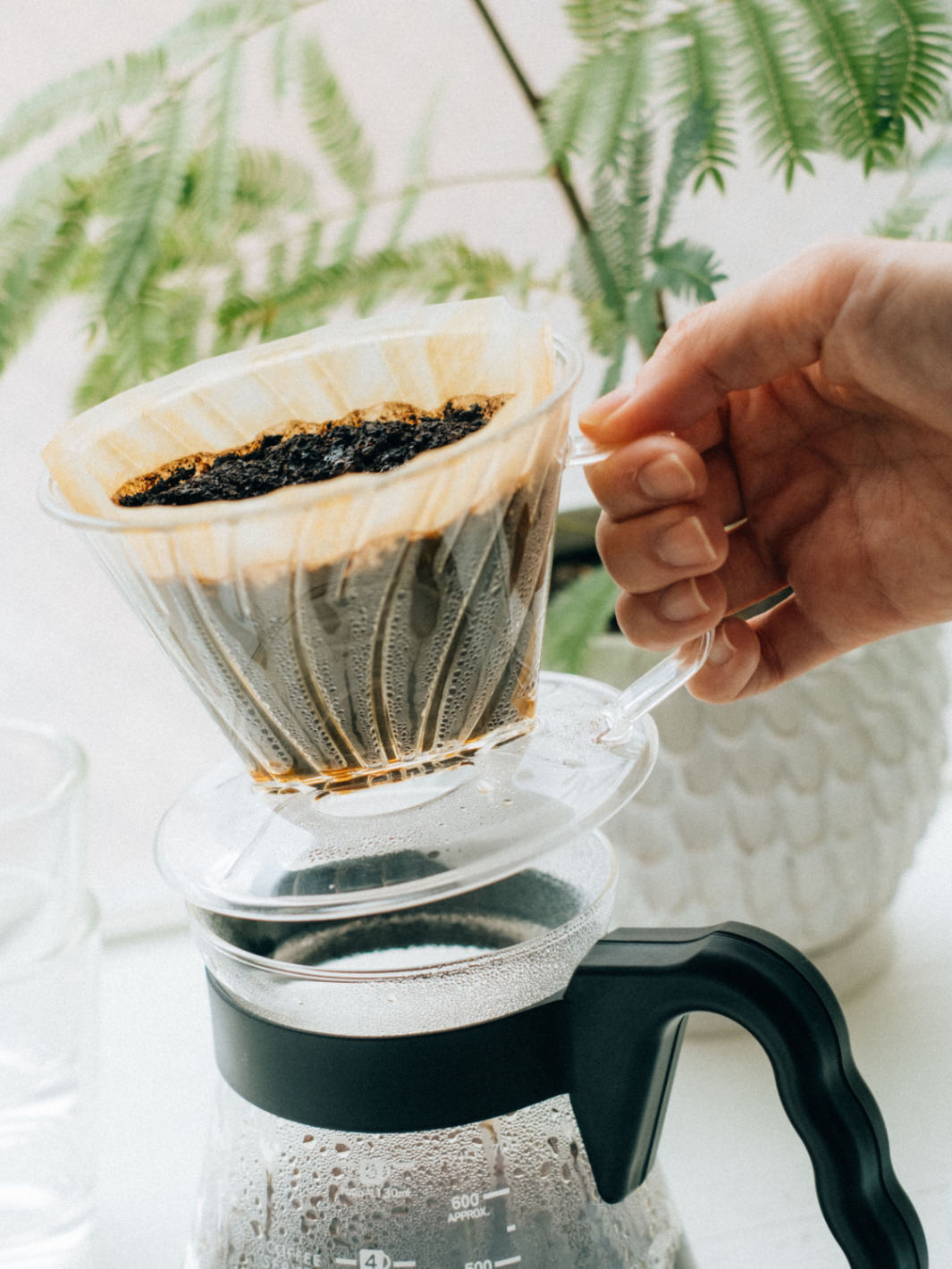 HARIO Pegasus 02 Dripper (Plastic)