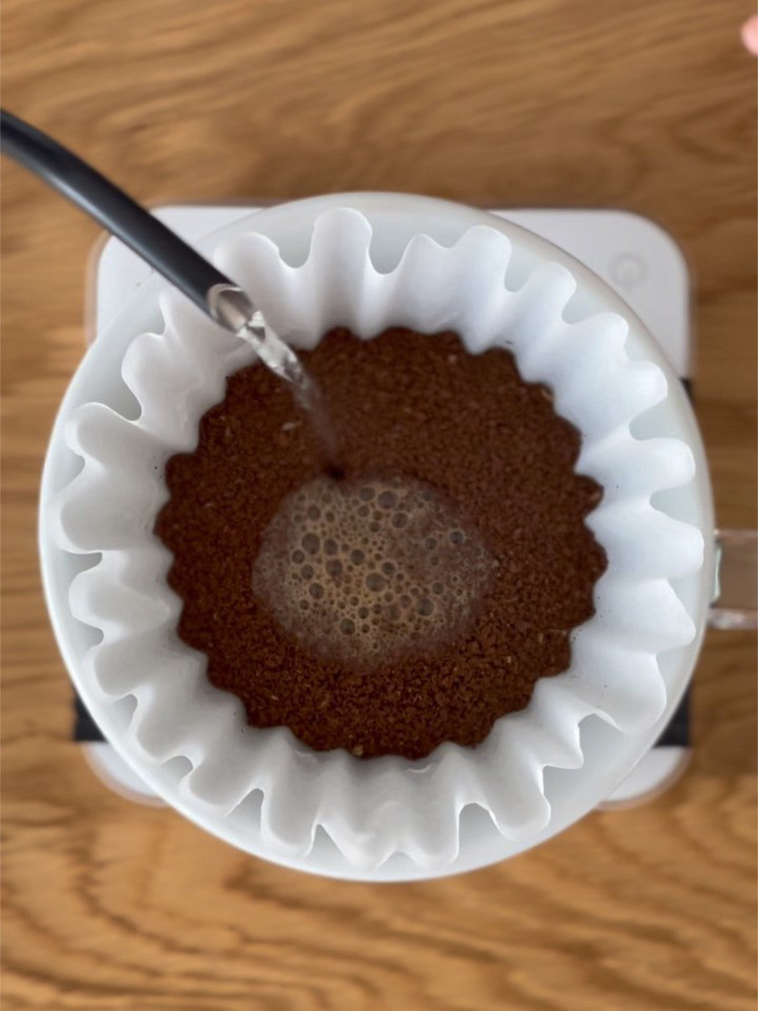 ETKIN 8-Cup Coffee Dripper