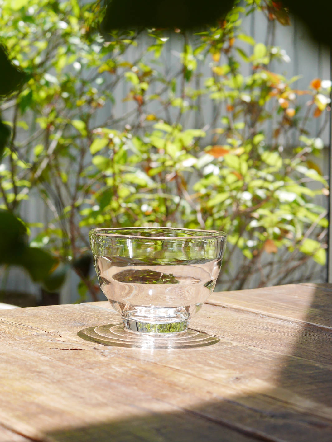 HARIO Heatproof Yunomi Glass (170ml/5.7oz) (5-Pack)