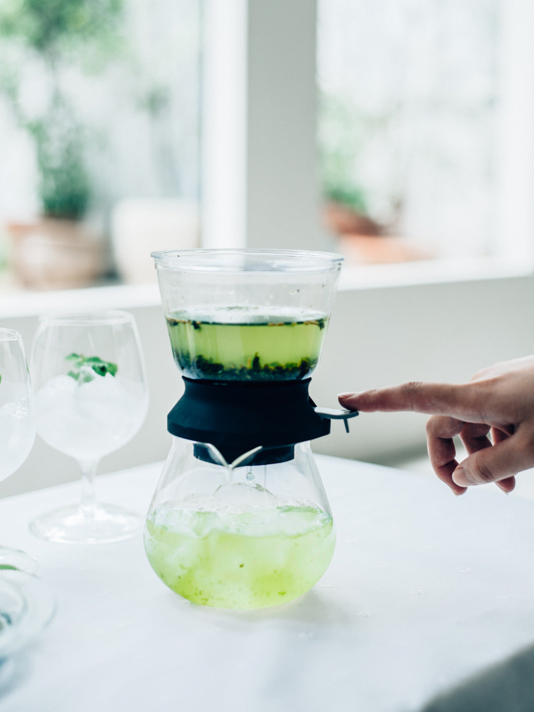 HARIO Largo 35 Tea Brewer (350ml/12oz)