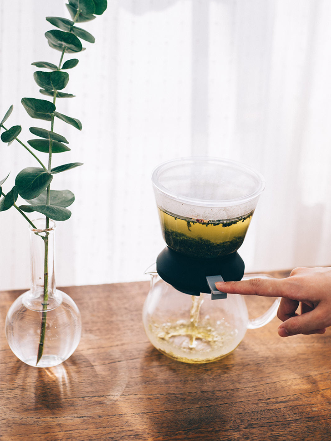 HARIO Largo 35 Tea Brewer (350ml/12oz)