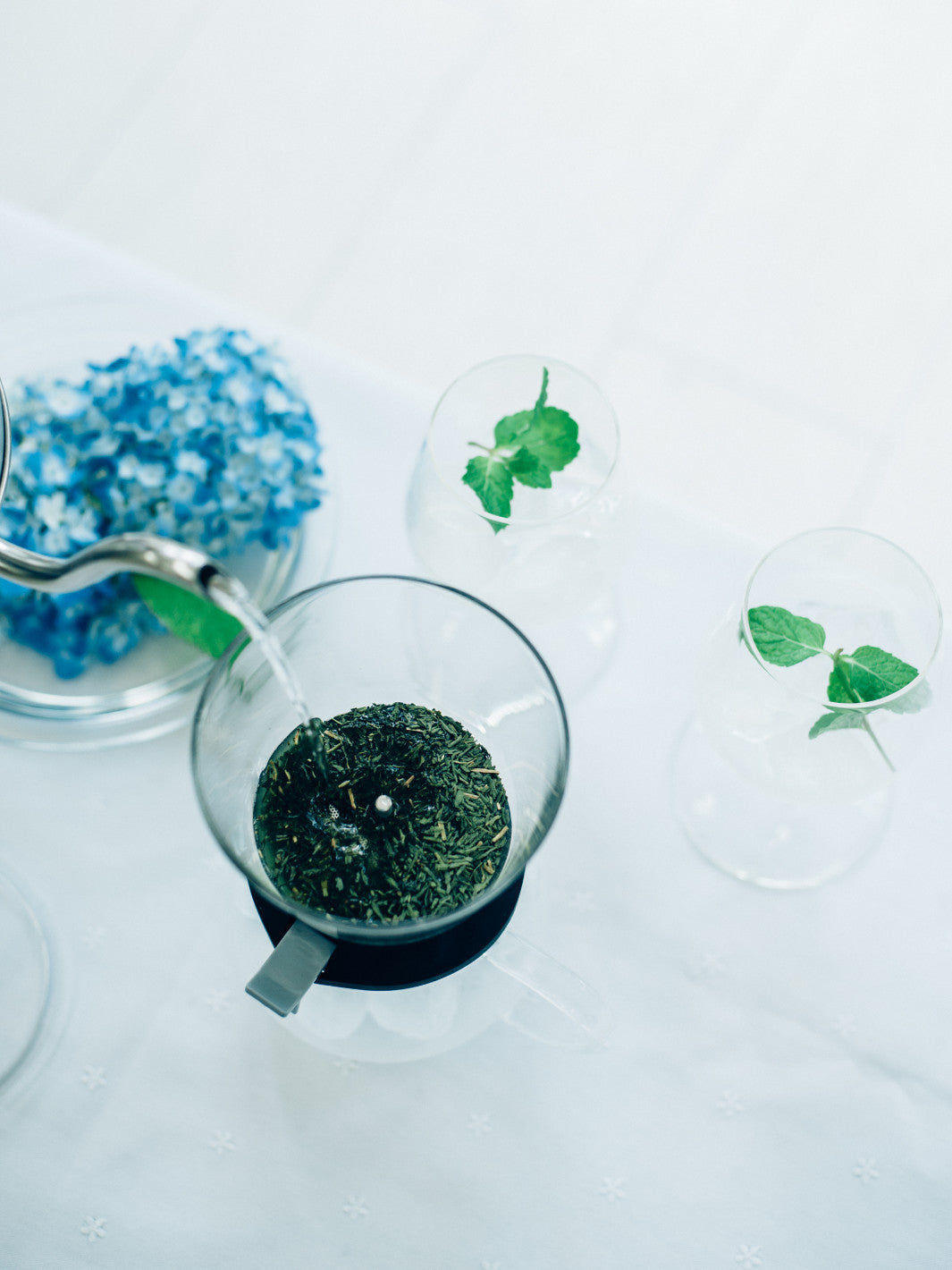 HARIO Largo 35 Tea Brewer (350ml/12oz)