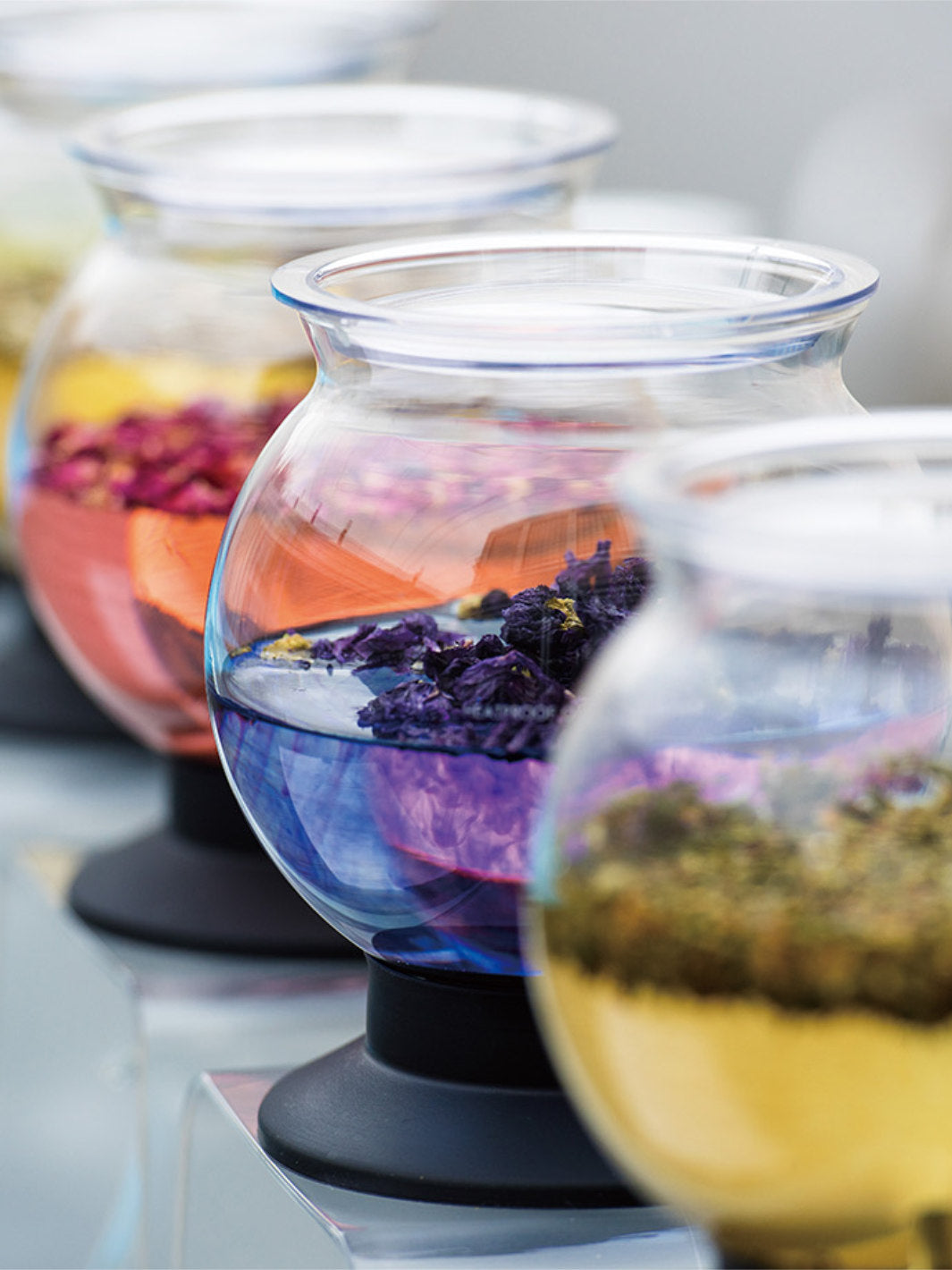 HARIO Largo Tea Brewer (800ml/27oz)