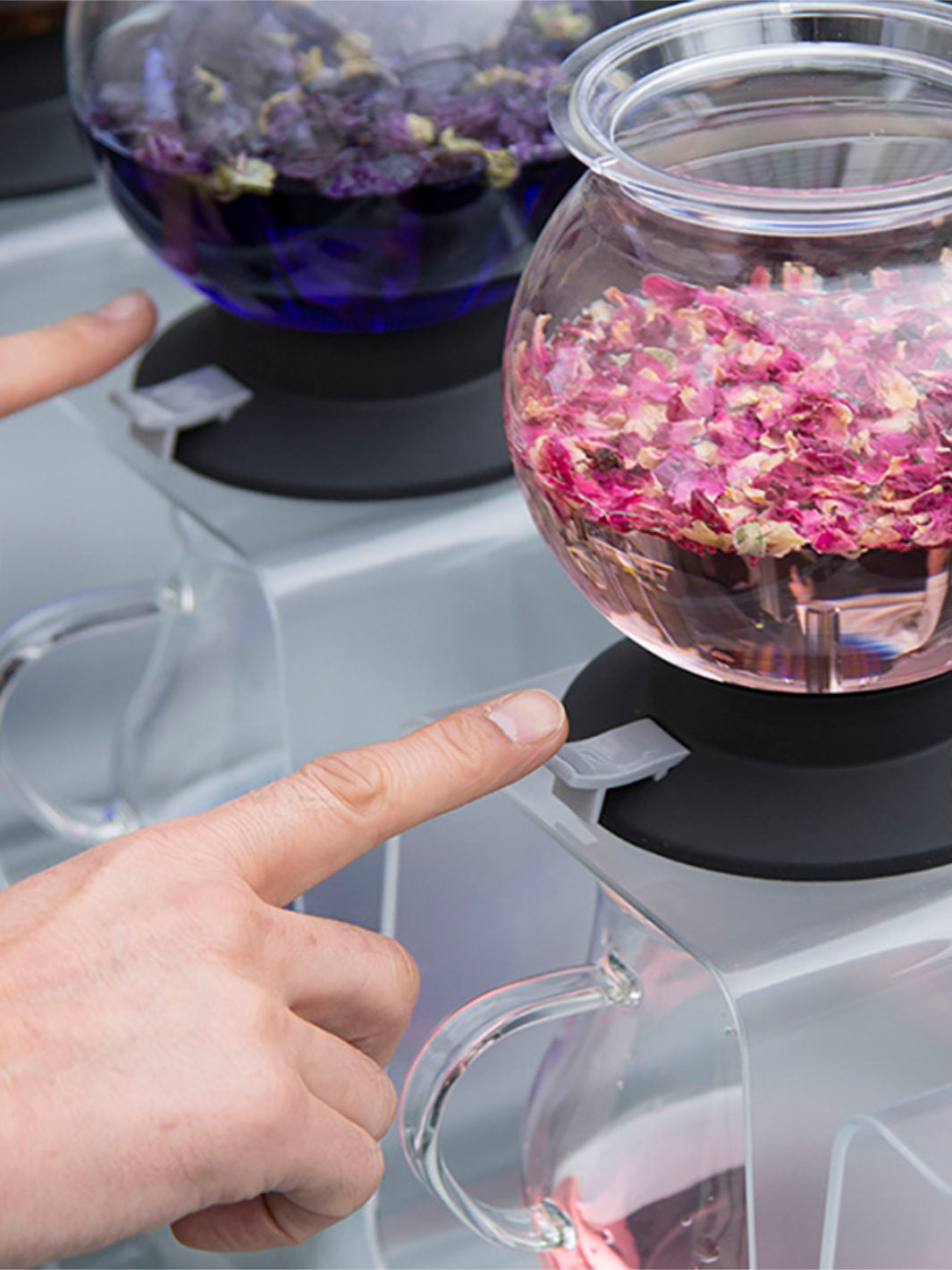 HARIO Largo Tea Brewer (800ml/27oz)