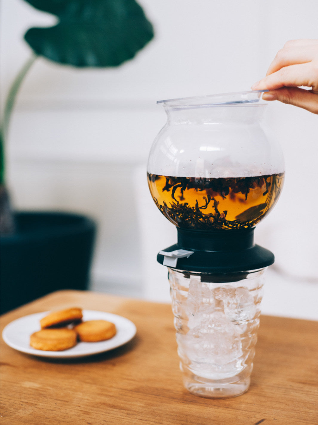 HARIO Largo Tea Brewer (800ml/27oz)