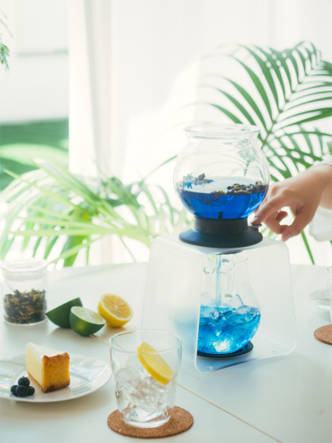 HARIO Largo Tea Brewer (800ml/27oz)