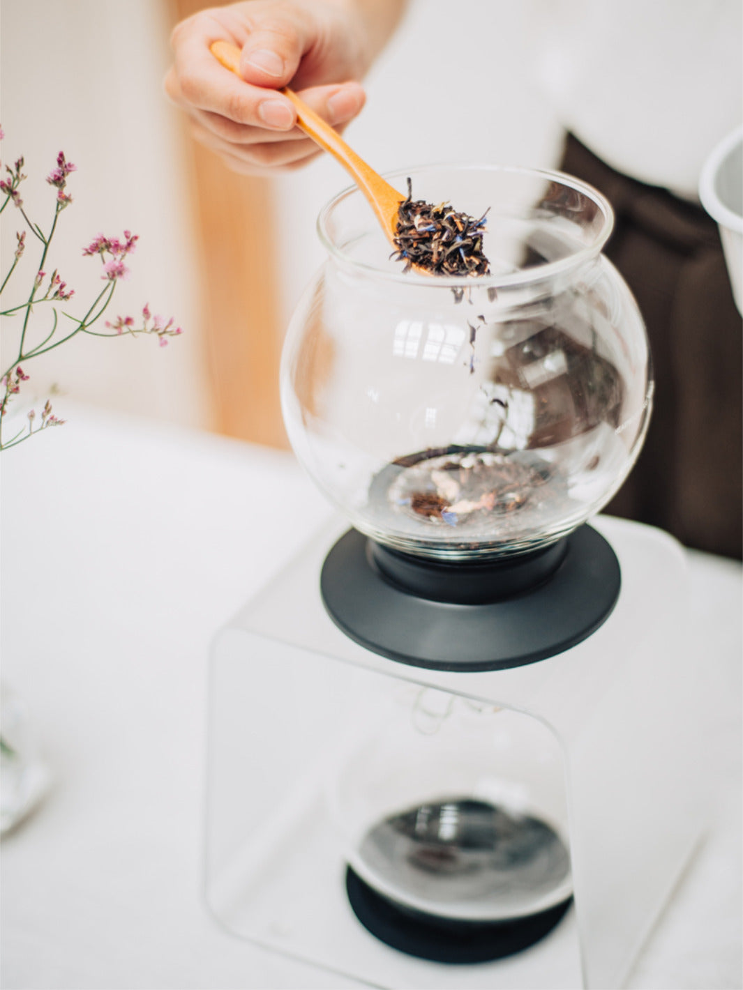 HARIO Largo Tea Brewer (800ml/27oz)