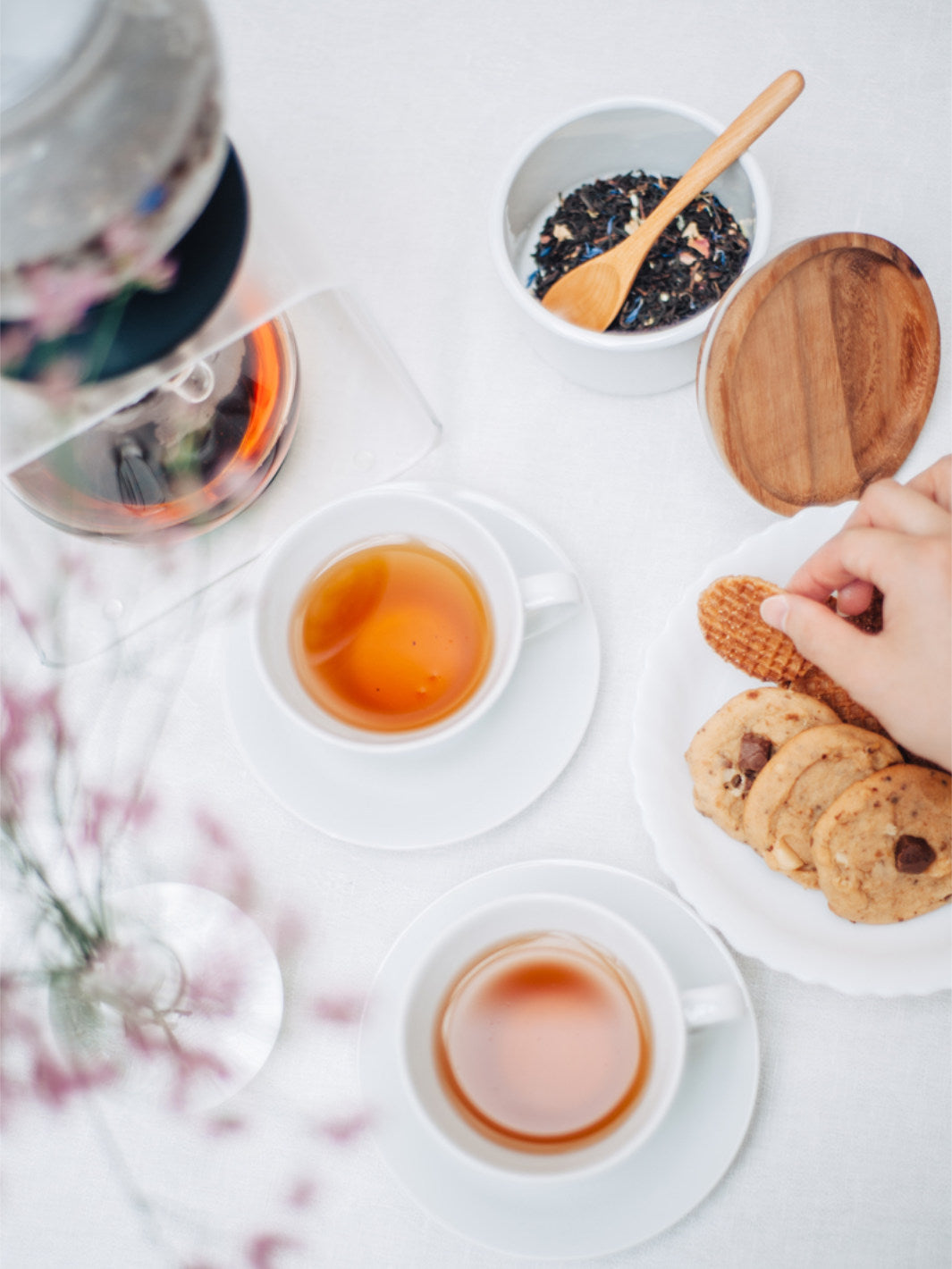 HARIO Largo Tea Brewer (800ml/27oz)