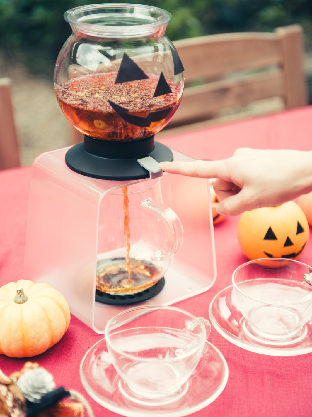 HARIO Largo Tea Brewer (800ml/27oz)