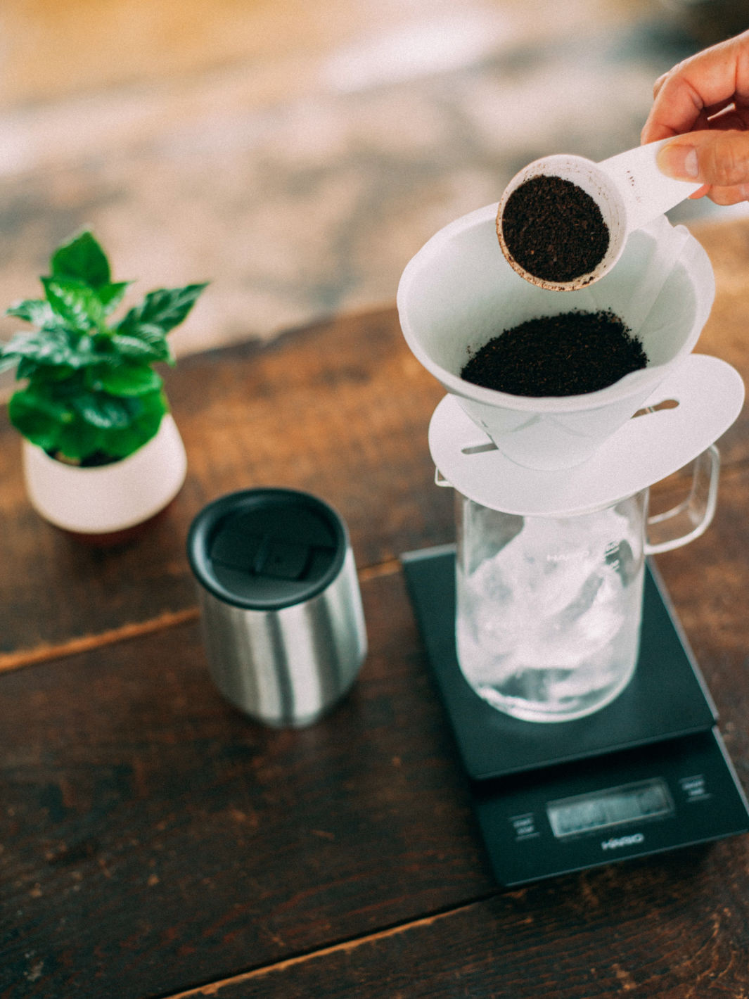 HARIO V60 MUGEN Dripper (Ceramic)