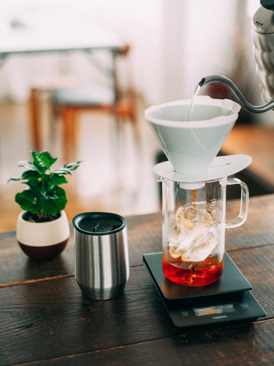 HARIO V60 MUGEN Dripper (Ceramic)