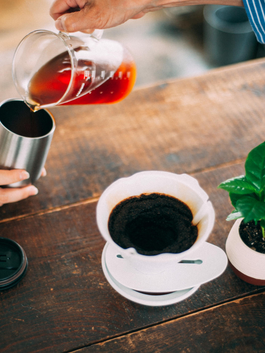 HARIO V60 MUGEN Dripper (Ceramic)