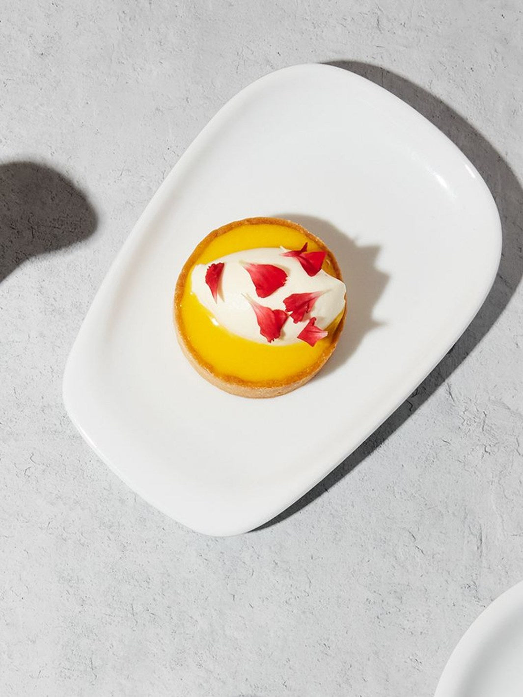 notNeutral LINO Pulled Plate (Small)