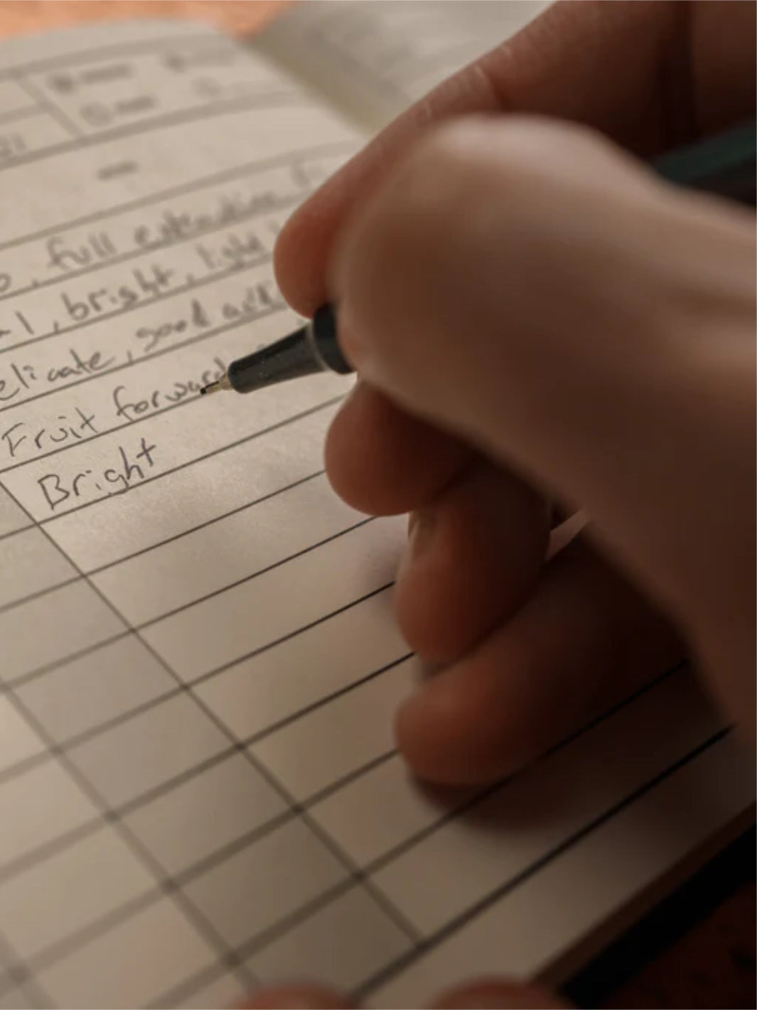 The Coffee Brewer's Logbook