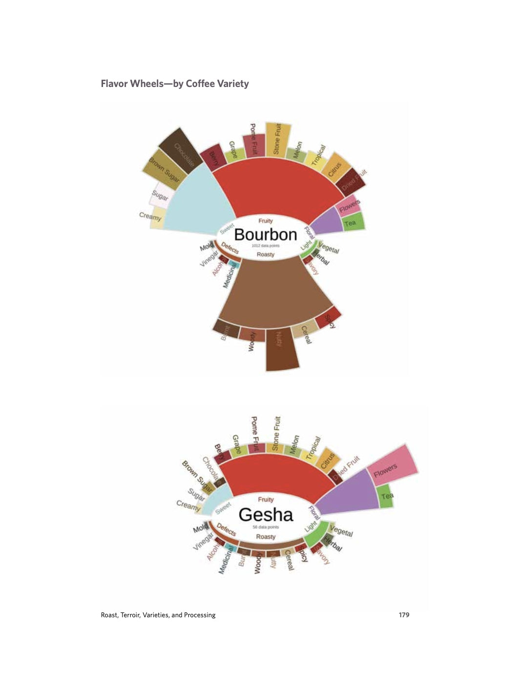 The Physics of Filter Coffee