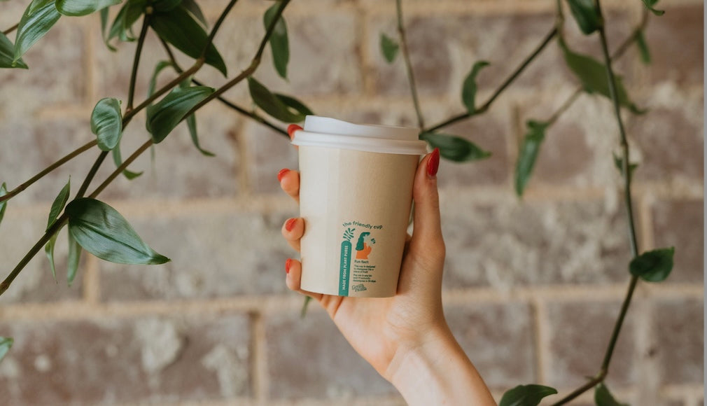 Person holding Little Green Panda Cup