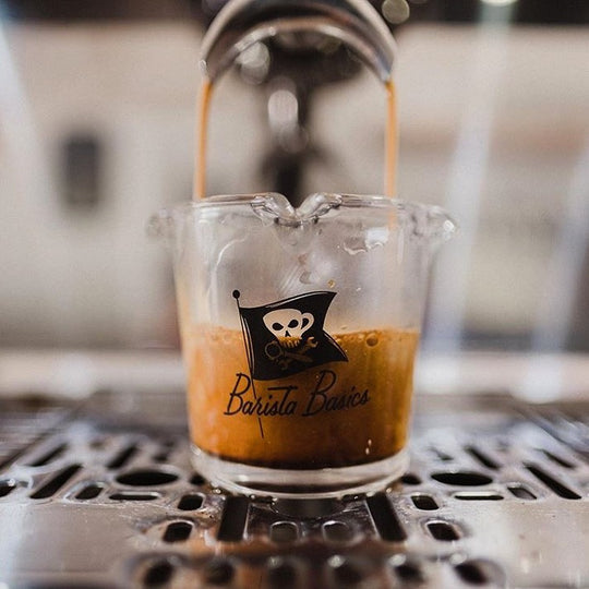 Barista Basics