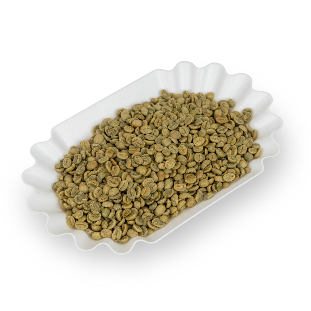 Photo of Green coffee - Ricardo Hirofumi Yoshimatsu, Brazil ( ) [ Apex Coffee Imports ] [ Green Coffee ]