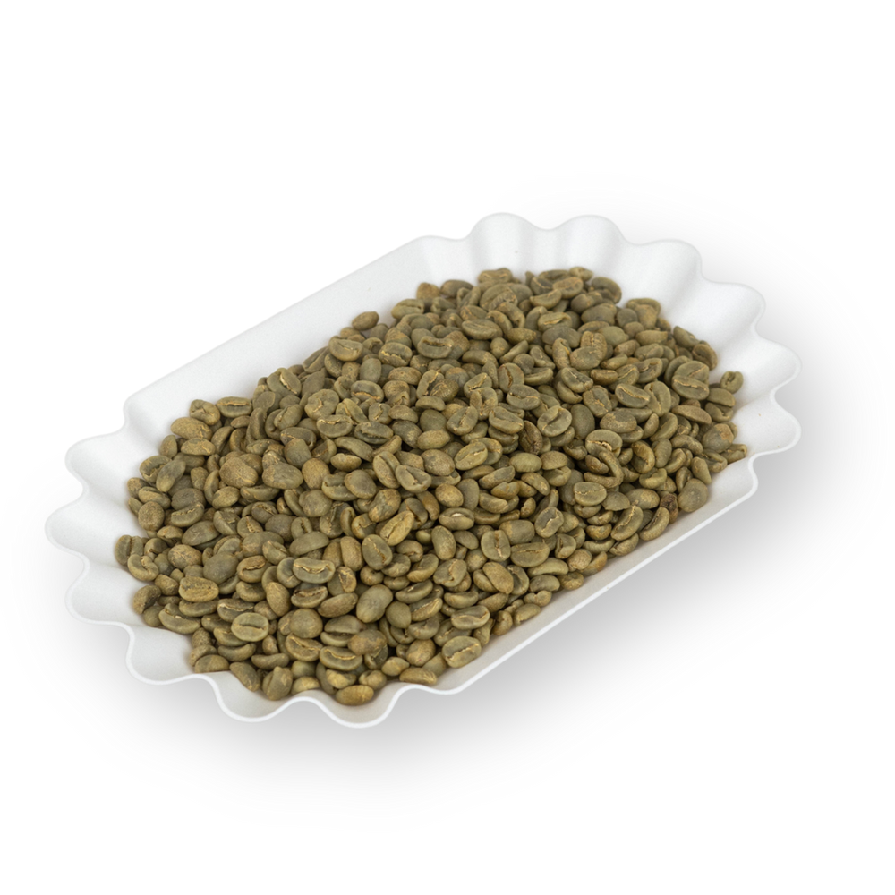Photo of Green coffee - Francy Castillo Guerrero Geisha, Colombia (200g) ( ) [ Apex Coffee Imports ] [ Green Coffee ]