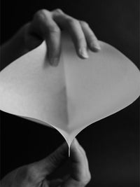 Photo of SIBARIST CONE XL Specialty Coffee Filters ( ) [ Sibarist ] [ Paper Filters ]