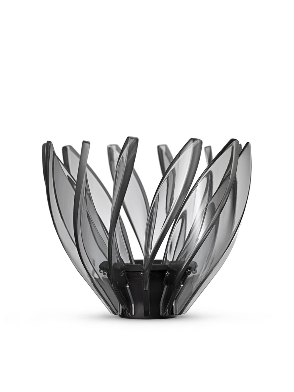 Photo of HARIO V60-02 Suiren Dripper ( ) [ HARIO ] [ Pourover Brewers ]