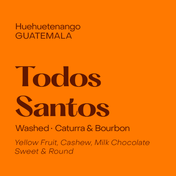Subtext - Todos Santos