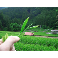 Photo of Camellia Sinensis - Matcha Uji (40g) ( ) [ Camellia Sinensis ] [ Tea ]