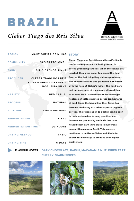 Photo of Green coffee - Sitio Cachoeirinha Farm, Brazil ( ) [ Apex Coffee Imports ] [ Green Coffee ]
