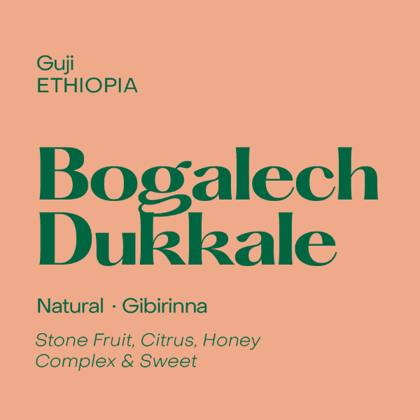 Subtext - Bogalech Dukkale