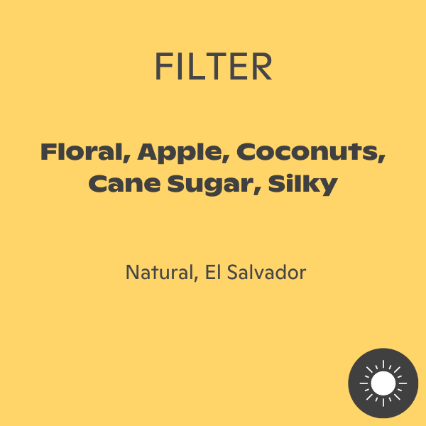 Leaves - Finca La Limonera