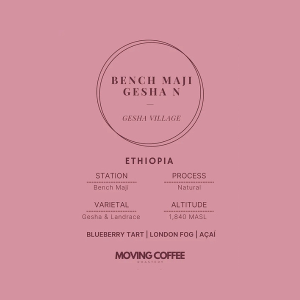 Photo of Moving Coffee - Bench Maji: Gesha N ( Default Title ) [ Moving Coffee ] [ Coffee ]