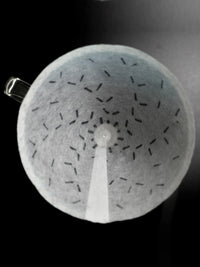 Photo of GRAYCANO GC01 Filters (100-Pack) ( ) [ Graycano ] [ Paper Filters ]