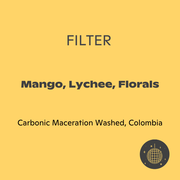 Photo of Subtext - Frank Torres: CM Washed Gesha ( ) [ Subtext Coffee Roasters ] [ Coffee ]