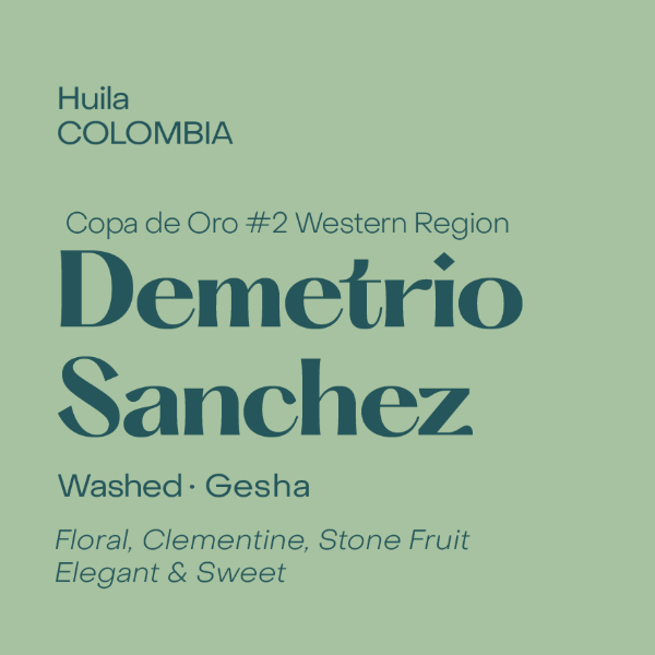Photo of Subtext - Demetrio Sanchez Piño ( Default Title ) [ Subtext Coffee Roasters ] [ Coffee ]