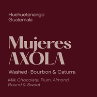 Photo of Subtext - Mujeres AXOLA Espresso ( Default Title ) [ Subtext Coffee Roasters ] [ Coffee ]
